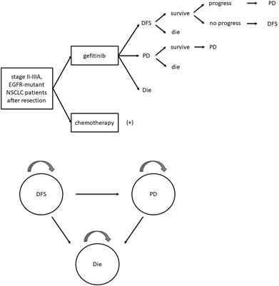 Comprehensive Comparison Between Adjuvant Targeted Therapy and Chemotherapy for EGFR-Mutant NSCLC Patients: A Cost-Effectiveness Analysis